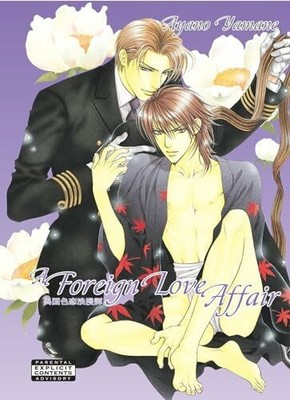A Foreign Love Affair (Yaoi) Buch 801 Media, Inc.