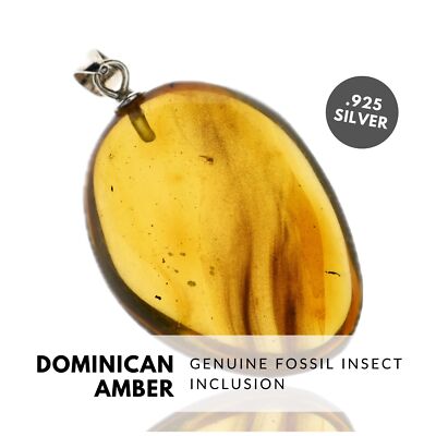 INSECTS - Natural Dominican Amber Pendant, Fossil Inclusion, Sterling Silver