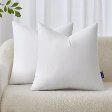 MIULEE 20x20 Inches Pillow Inserts Pack of 2, Decorative Inch, White 