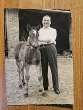 22222. Fotografia uomo  in posa con cavallo puledro  italia 15x10,5