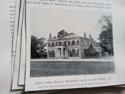 Xm17 Ephemera 1906 Bild Jayes Park Ockley 