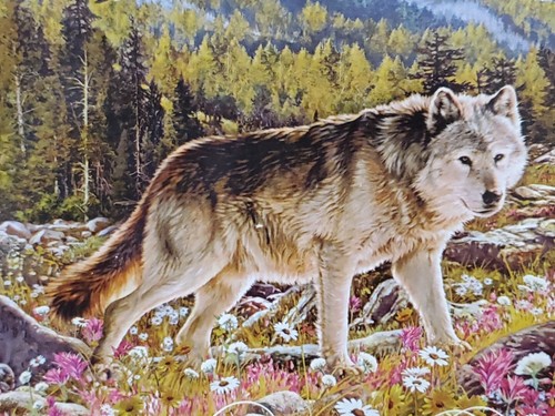 NEW! Wandering Wolf 750 Piece Puzzle - Picture 2 of 4