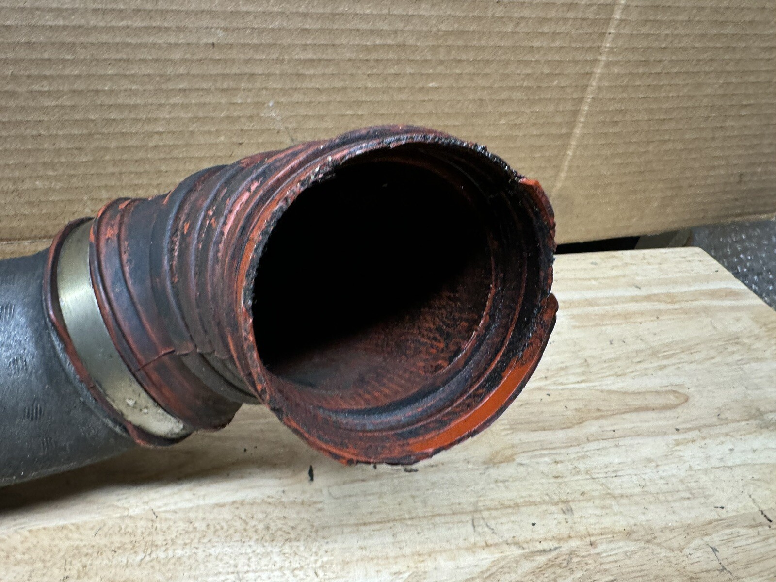 Picture 4 of 14