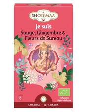Infusion Ayurvédique Bio 1er Chakra Je Suis - Saug