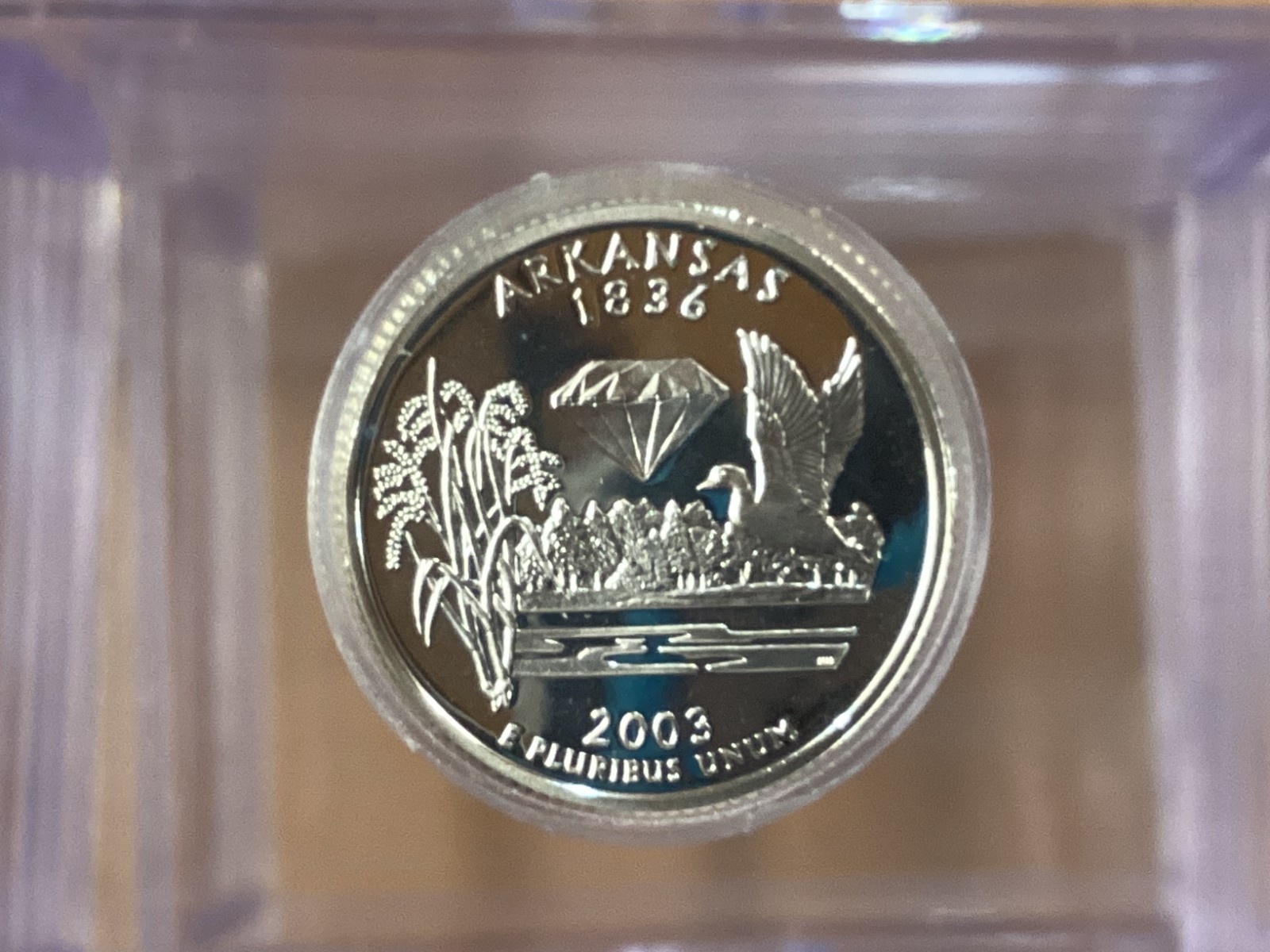 Picture 6 of 19