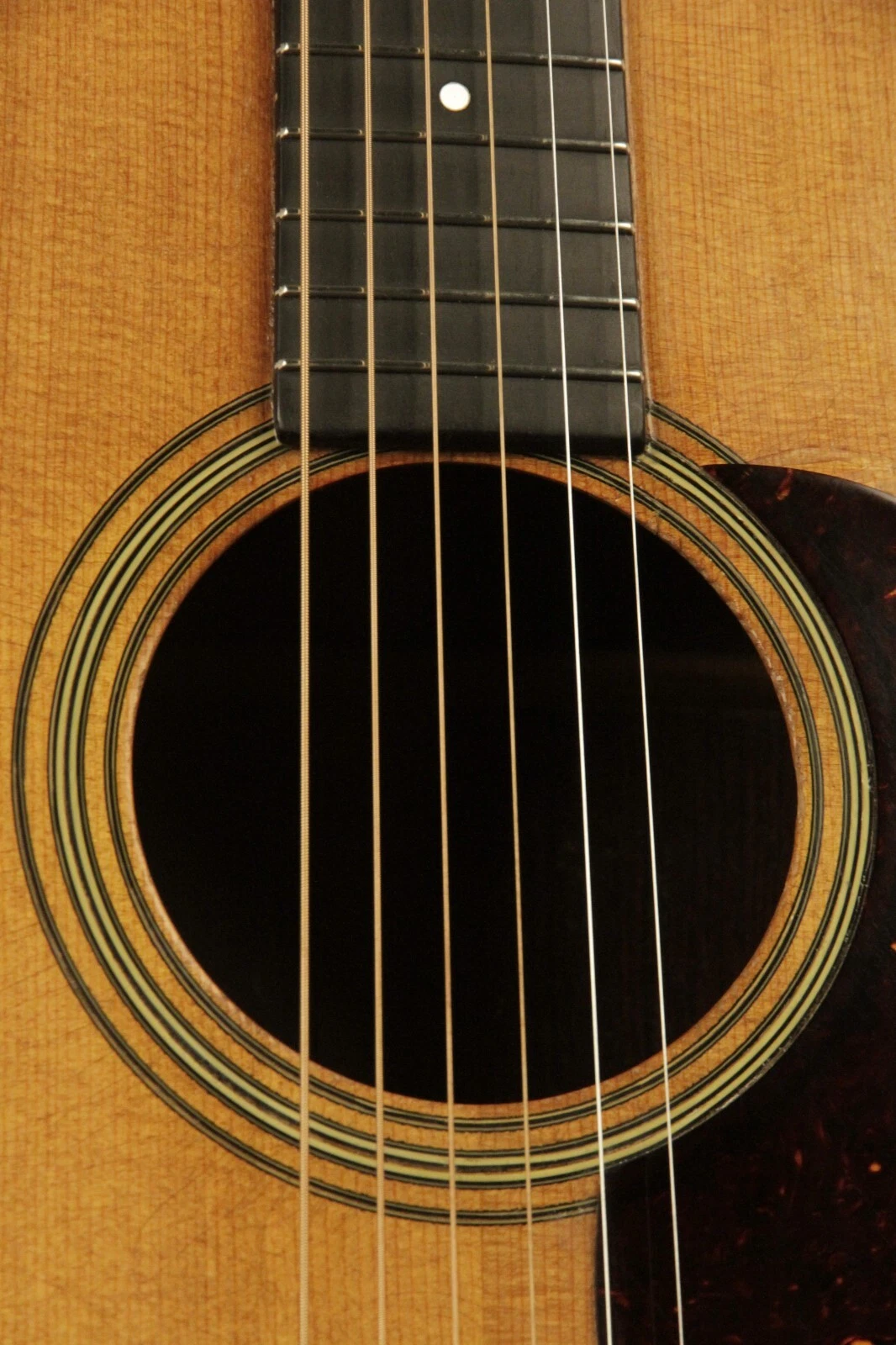 Picture 5 of 24