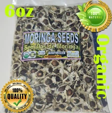 Semillas de Moringa, Moringa Seeds, Moringa oleifera Seeds, Organic moringa Seed