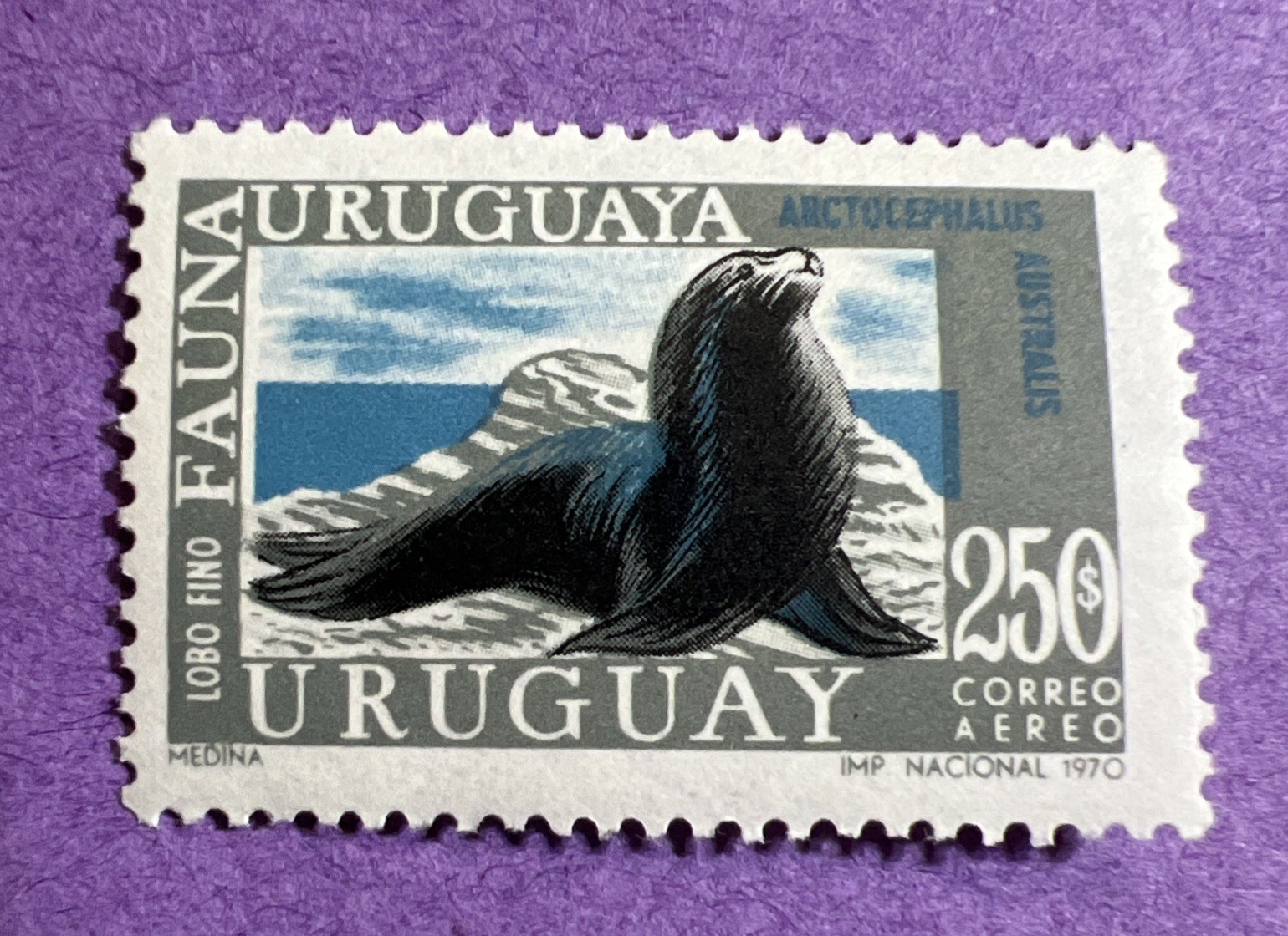 Uruguay 1970 - MNH Scott C368. Fur Seal.