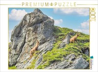 Calvendo Puzzle SteinböCke | 1000 Teile Lege-GrößE 64X48Cm Foto-Puzzle FüR GlüCk