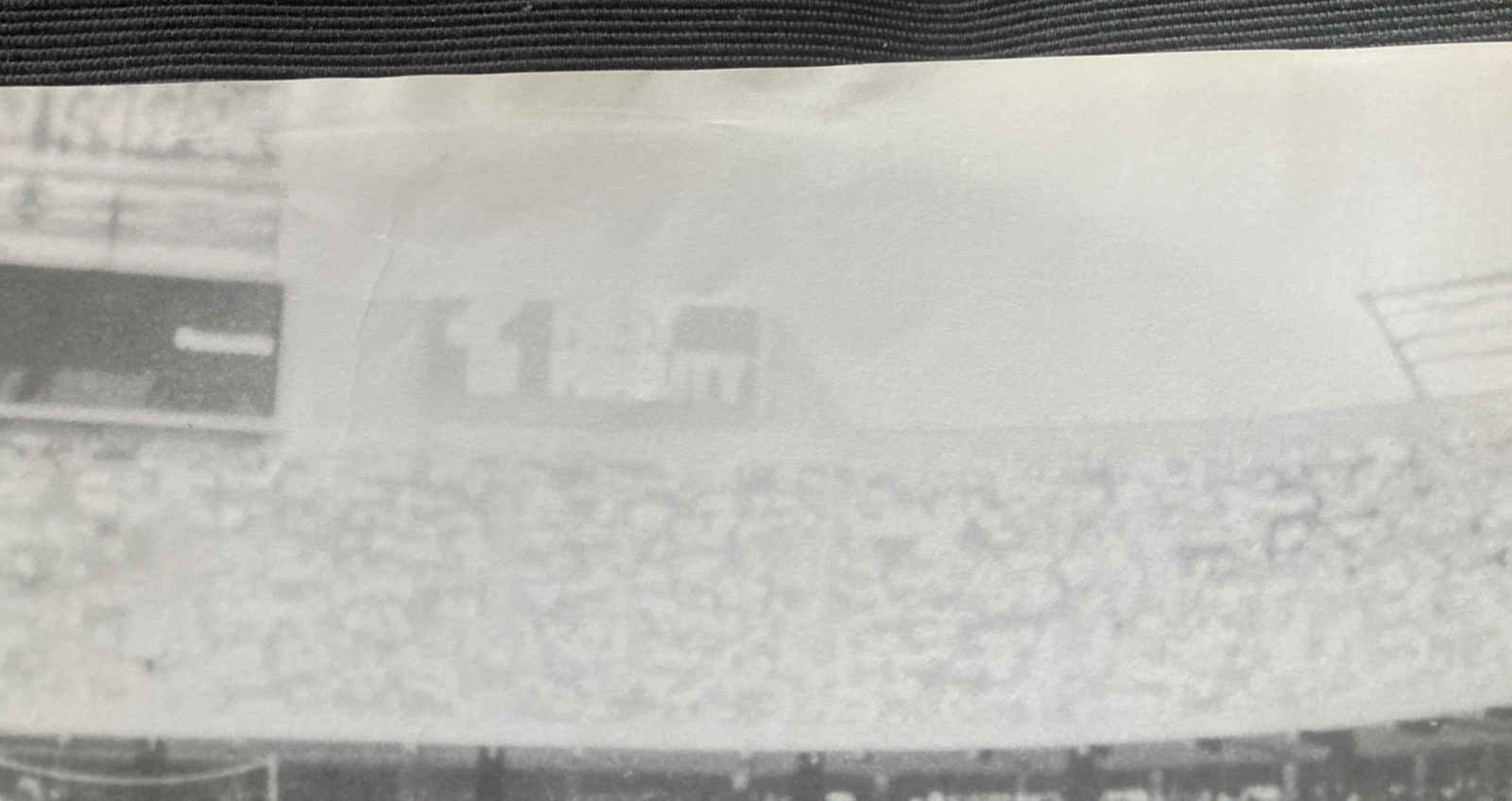 Picture 5 of 15