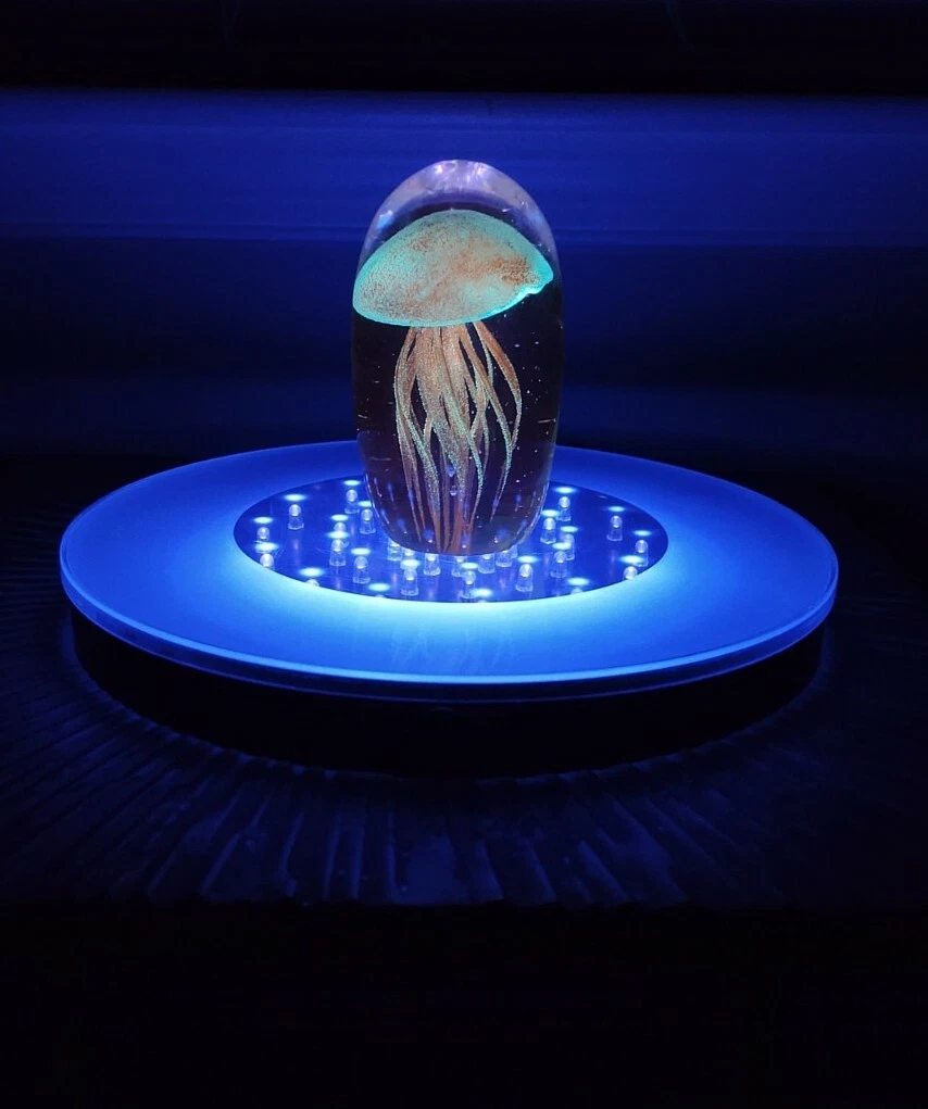 Uv display light deals