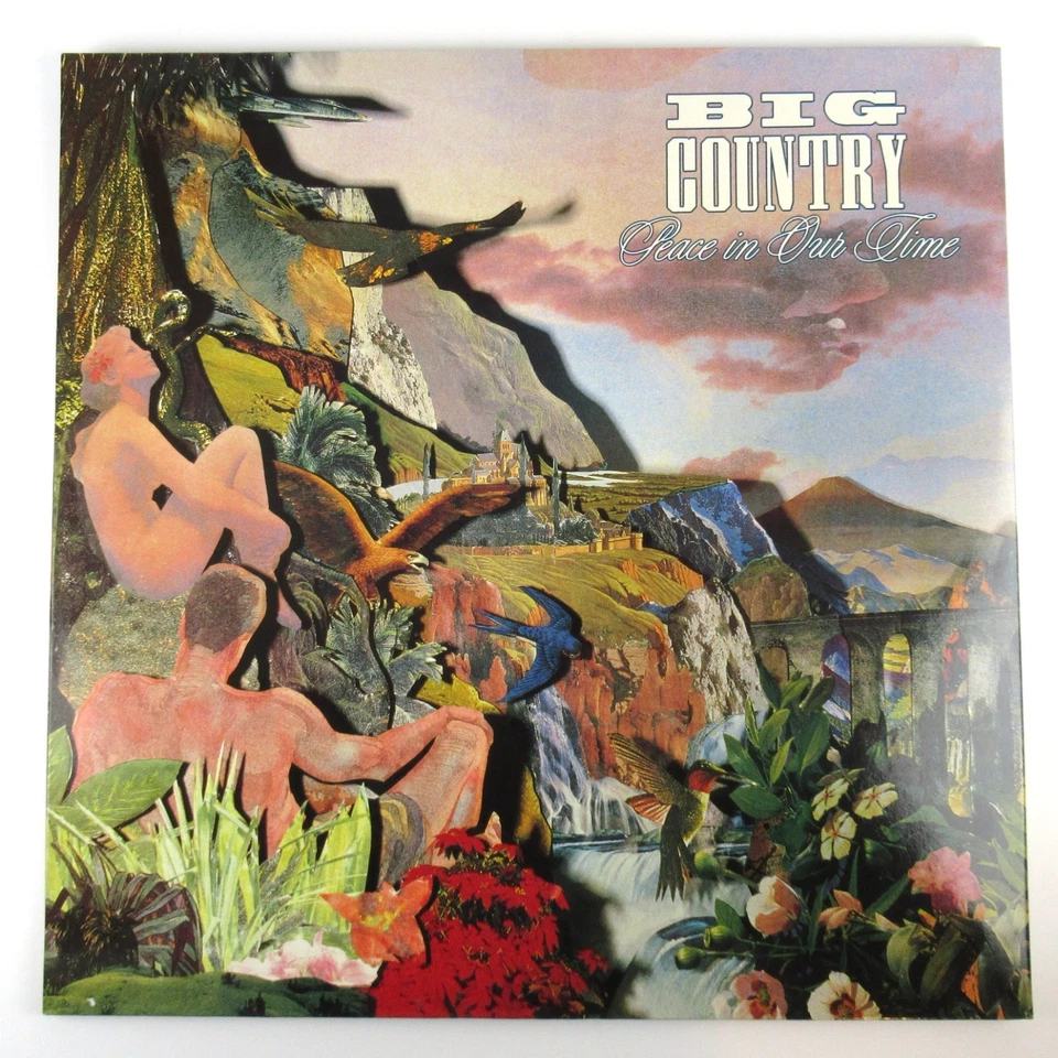 Schallplatte BIG COUNTRY - PEACE IN OUR TIME Album Pop Rock Folk LP 1988 - Bild 1 von 4