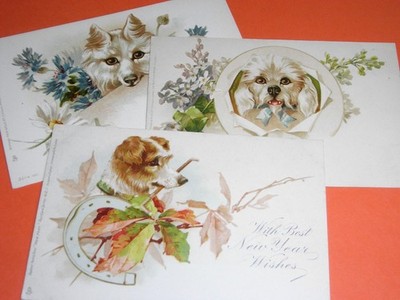 DREI ORIGINAL FRÜHE STECKTIER POSTKARTEN - HUNDE, SERIE 120.