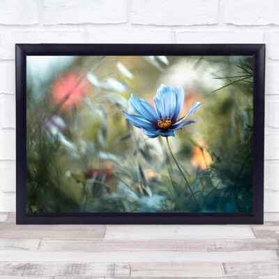 Blume L Bokeh Sommer Farbe Garten Blau Kunstdruck