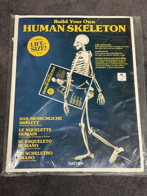 Build Your Own Human Skeleton   Life Size 5'9'' - TASCHEN Vintage New