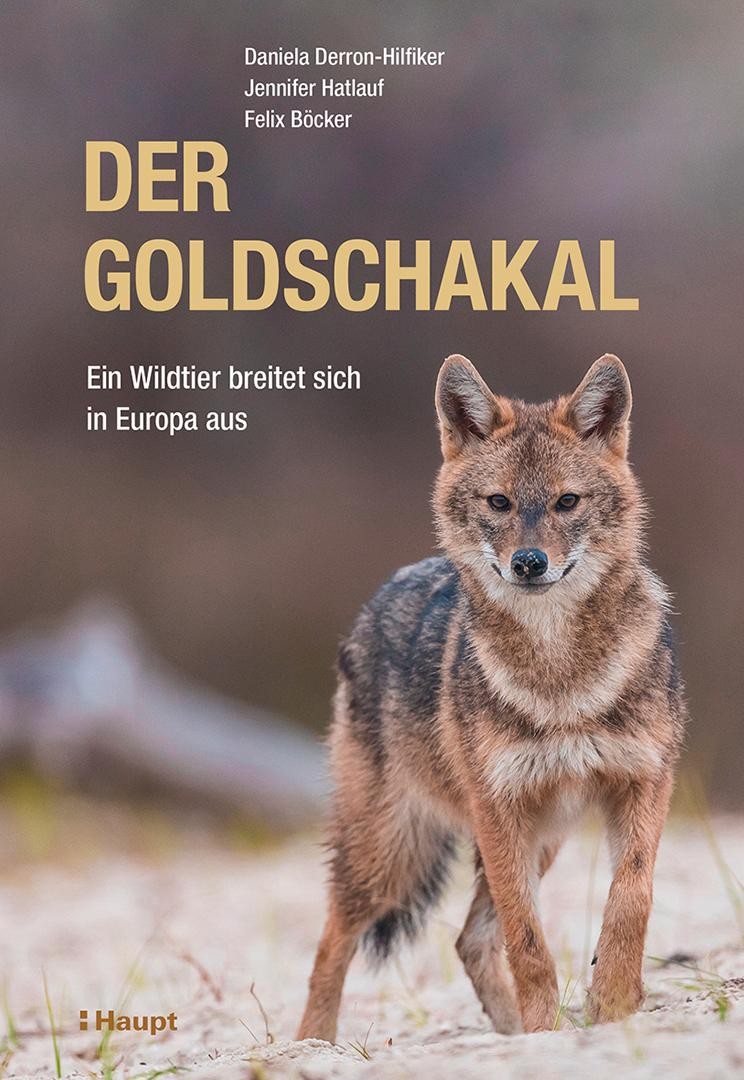 Der Goldschakal Jennifer Hatlauf