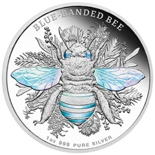 Niue 2025 BLUE BANDED BEE Native Australian Bees $2 1 Oz Silver Hologram Proof