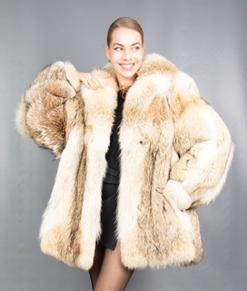 18936 GLAMOROUS REAL CANADIAN COYOTE COAT LUXURY FUR JACKET BEAUTIFUL SIZE L