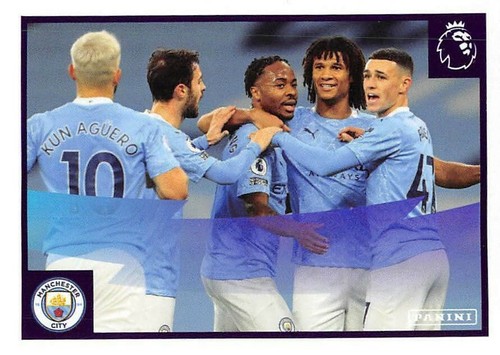 PANINI PREMIER LEAGUE 2021 STICKERS 226 - 439 (Fulham - Man Utd & ELITES) 20/21 - Picture 183 of 215