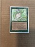 MTG Venom Fourth Edition 280/379 Regular Common