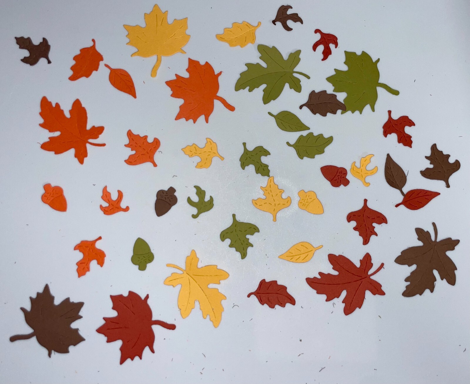 🍂FALL LEAVES cards paper die cut embellishments💚