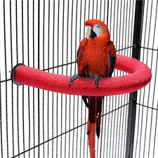 Frgkbtm U Shape Parrot Perch Stand Toy Bird Platform Sand Paw Grinding Clean Sti