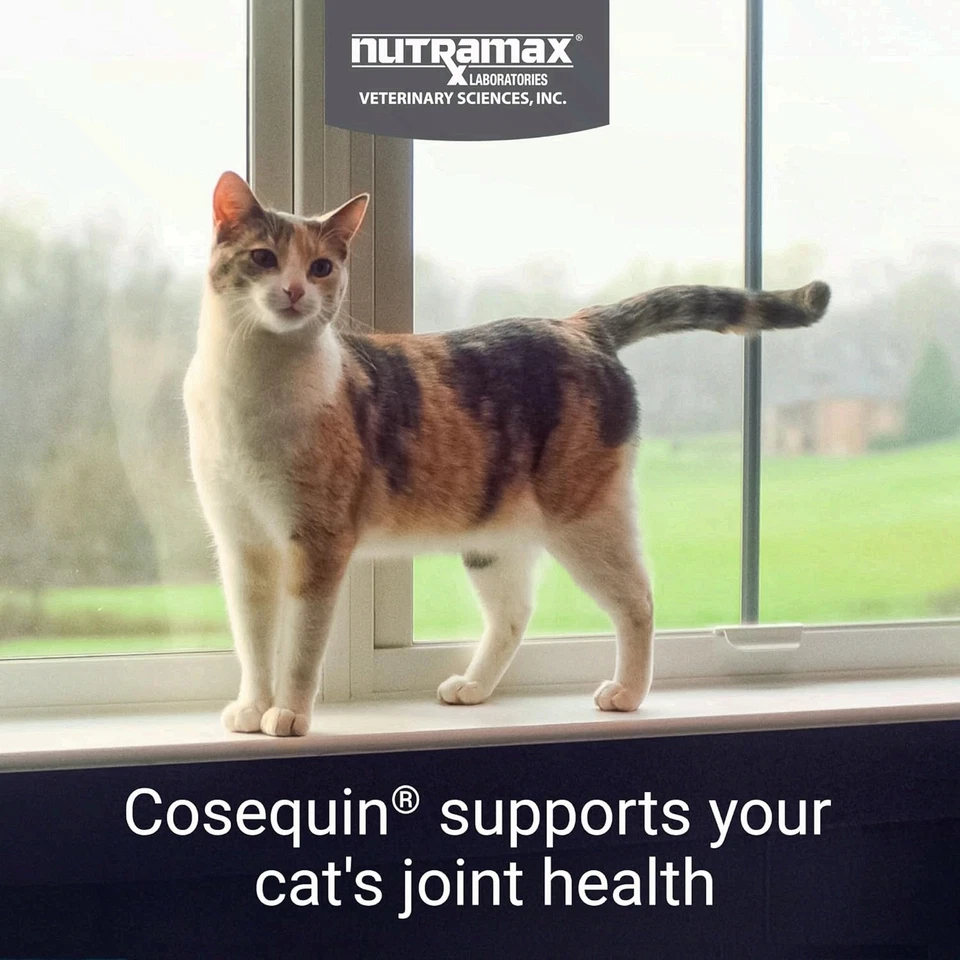 Suplemento de salud articular Nutramax Cosequin para gatos con glucosamina y condroitos Foto 2 de 4