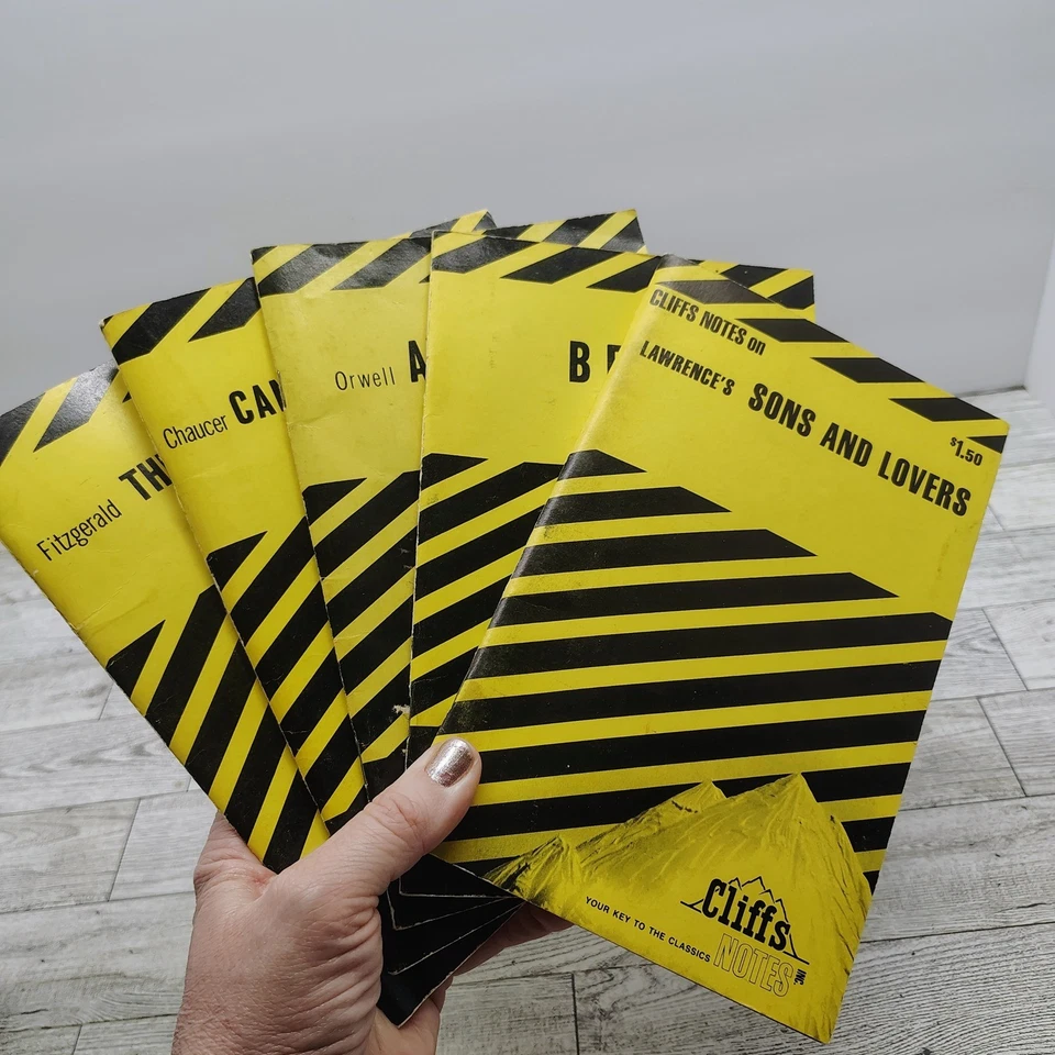 Vintage Cliffs Notes Set • Dark Academia Studycore • Gatsby Chaucer Orwell 1960s - Image 2 of 3