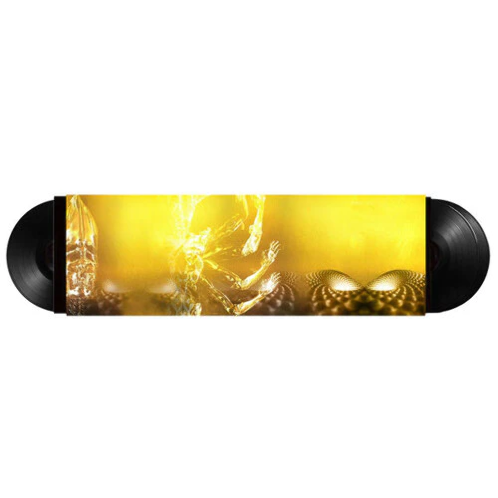 Tool - Fear Inoculum - LP | eBay