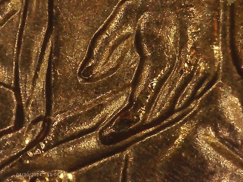 2009 P BU FY DOUBLED DIE REVERSE ERROR WDDR-002A - Picture 11 of 18