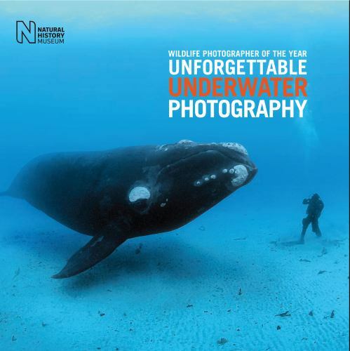 Wildlife Photographer of the Year: Unforgettable Underwater Photography [hardcov