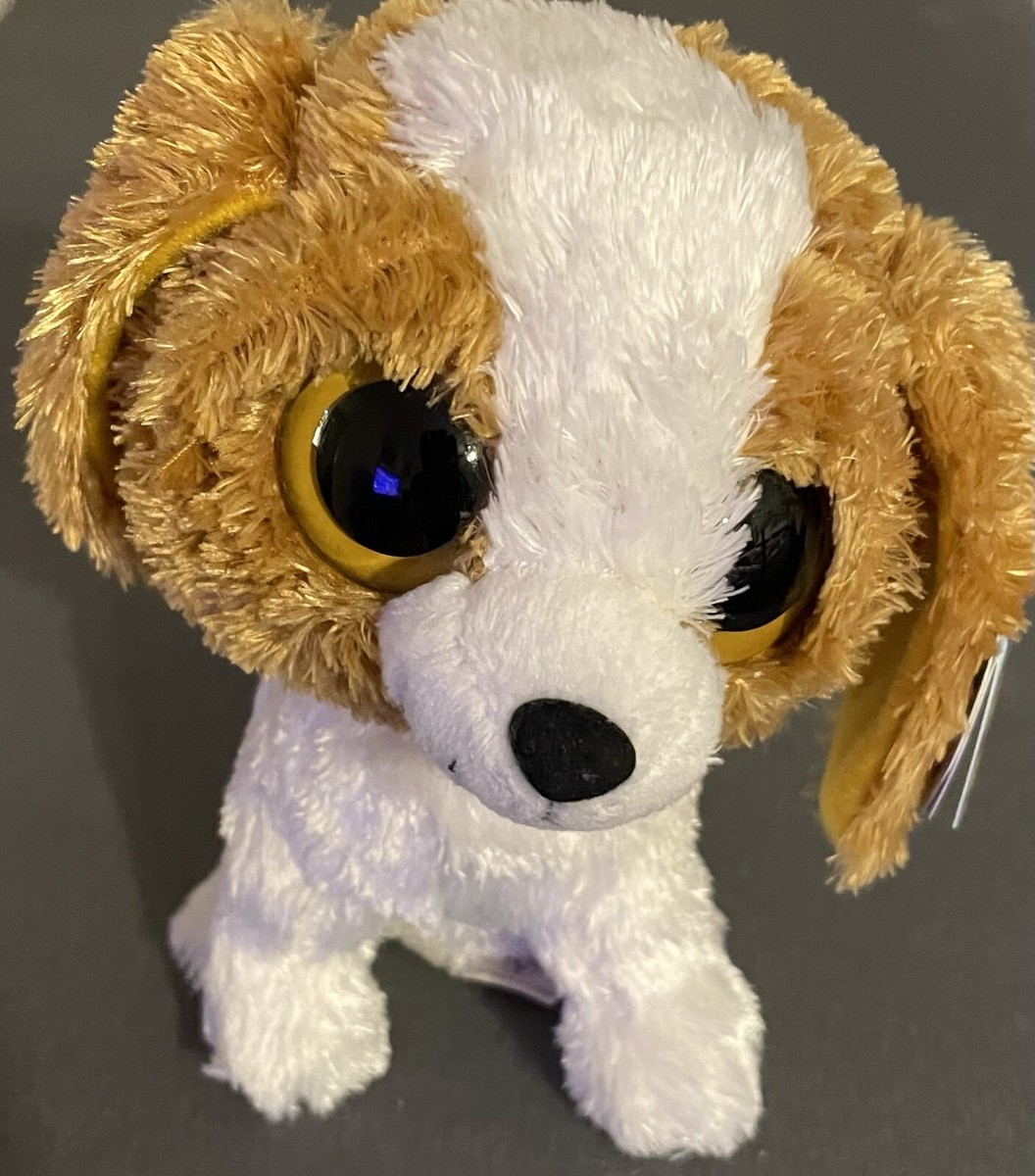 Ty Beanie Boos inch COOKIE the Dog PURPLE TAGS Solid Eyes w/ TAG Errors!!  MWMT