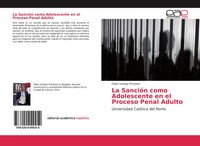 Pablo Verdejo Pimentel | La SancióN Como Adolescente En El Proceso Penal Adulto