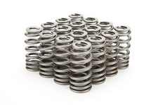 Pac Racing Springs 1.345 Valve Springs - Ovate Beehive 16 Pac-1232x-16 Pac Racing Springs 1.345 Valve Springs - Ovate Beehive 16 Pac-1232x-16