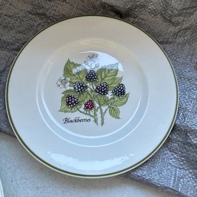 Tiffany & Co Staffordshire Gardens Blackberries Plate by Johnson Brothers - Image 1 of 4