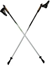 LEKI Nordic Walking Flash Carbon White/Black/Green 110cm