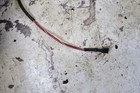 Foto 9 di 9