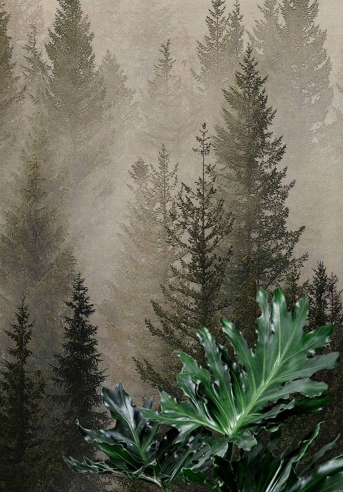 Misty Pine Tree Forest Landscape Wallpaper. Peel and Stick Wall Mural ...