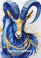 Tagebuch / Notizbuch Sternzeichen Steinbock: 100 Seiten Um Seine Gedanken Und