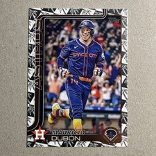 2025 Series Topps Series 1 Mauricio Dubon #222 Palm Tree 🌴 Border