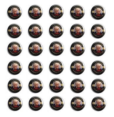 Election Interference, Vote Republican, Vote Trump, Set of 30 (DT-24-32-X30)