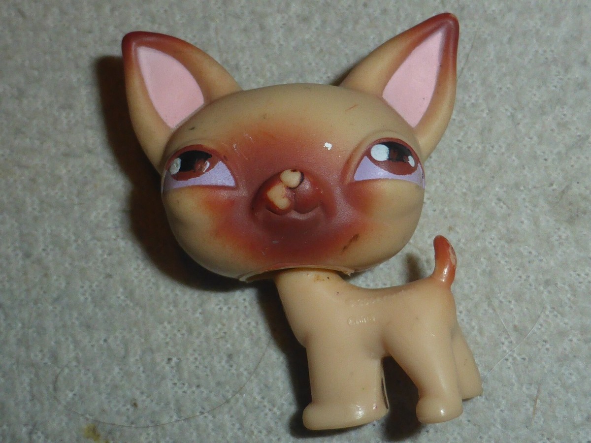 Littlest Pet Shop #1060 Chihuahua Hasbro - Figurine Chien D'occasion, Authenticité Garantie