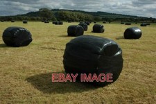 PHOTO  SILAGE BALES IN TWYNING MEADOW SILAGE BALES IN NORTH END OF TWYNING MEADO
