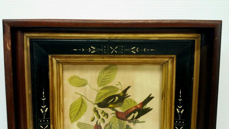 Litografía desplazada de pájaros con marco antiguo encaramados en ramas Foto 4 de 4