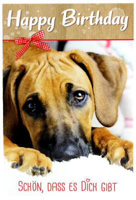 Rhodesian Ridgeback Geburtstagskarte Geburtstag Glückwunschkarte Grußkarte Karte