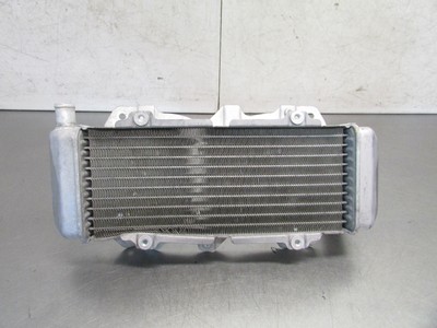 G HONDA HELIX CN 250 2007 OEM RADIATOR | eBay