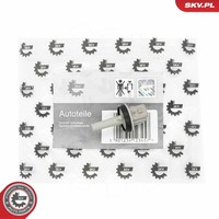 Esen SKV Sensor, Innenraumtemperatur 17SKV983 FüR Audi Skoda VW