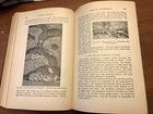 Foto 6 di 12