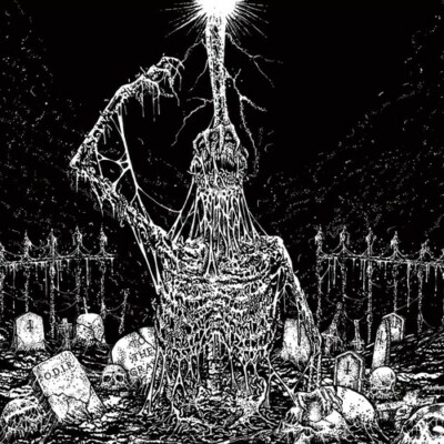 Infesticide / In Obscurity Revealed - Split [New CD] UK - Import