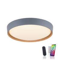Deckenlampe Holz Smart Home Dimmbar Fernbedienung Warmweiß Kaltweiß Wandleuchte